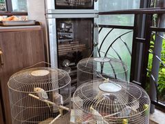 -蘇河湾·新鲁菜·泰山宴(泰山店)