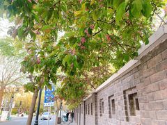 -SMOKI & CO(五大道店)