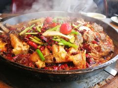 -老板恋上鱼(印象城店)