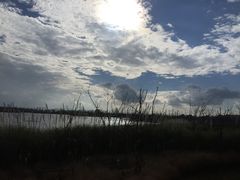 -呈贡滇池生态湿地公园