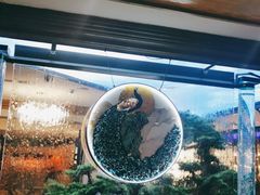 -57度湘(王府井10F店)