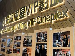 -大光明丽星VIP影城(昌里路杜比全景声店)