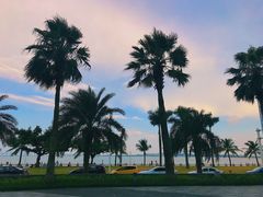 -星巴克(珠海仁恒滨海中心店)