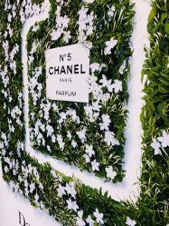 -Chanel