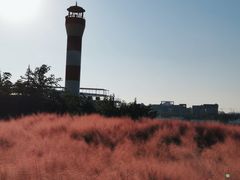 -上海山野camping·户外天幕烧烤·团建拓展营地