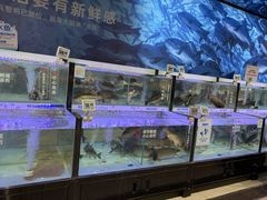 -物美大卖场(玉蜓桥店)