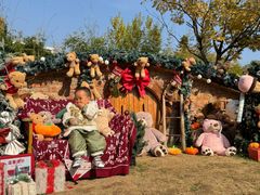 -HERRE·FARM 赫尔露营农场·团建聚会包场