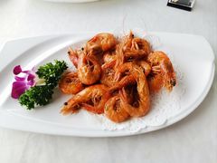 -云中小雅