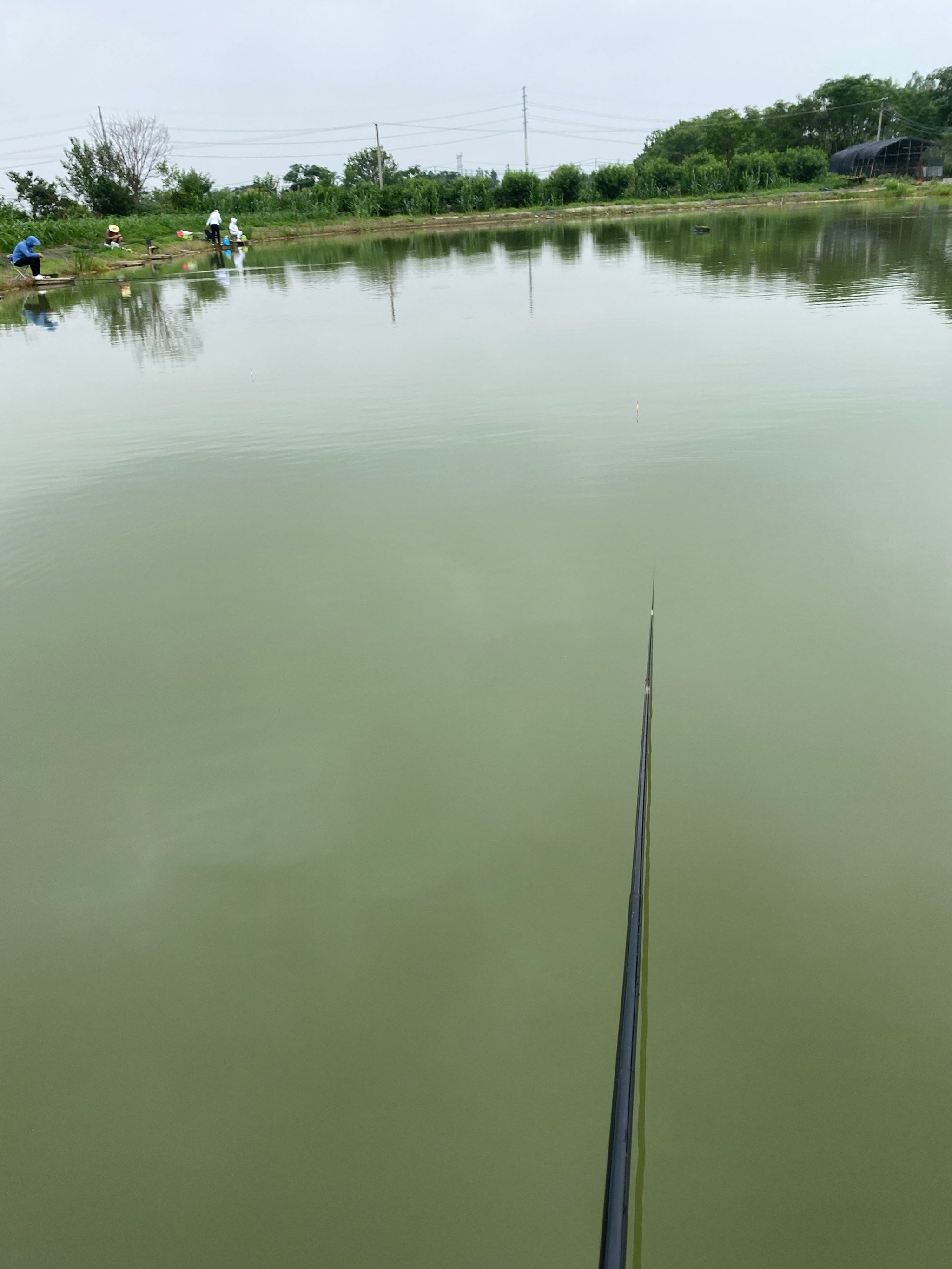 周末湖边垂钓的惬意