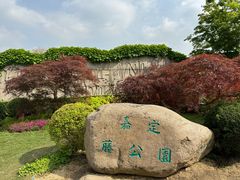 -嘉定紫藤园