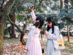 -武汉大学-樱园