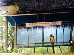 android_upload_pic-百鸟园