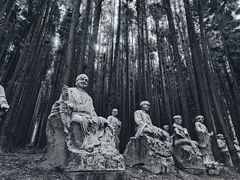 -武陵山森林公园