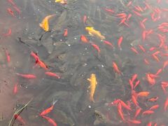 -桑干河大峡谷旅游区