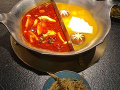 台式麻辣花胶鸡鸳鸯锅-湊湊火锅·茶憩(世博大道店)