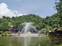 -西双版纳原始森林公园