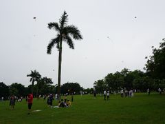 -东莞植物园