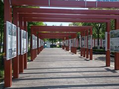 -春花秋色城市公园