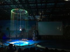 -华夏文旅海洋公园