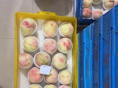 -老袁家蜜桃农场·阳山水蜜桃