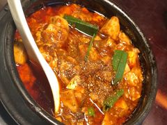 -陈麻婆豆腐总店