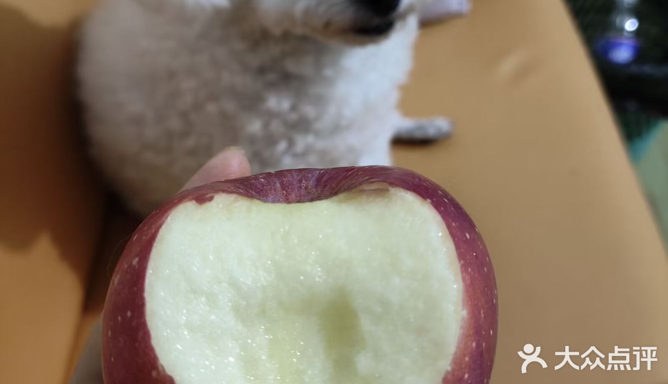 今日份的甜蜜苹果