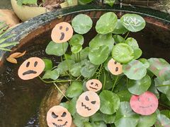 -五合院·整点烤肉