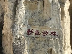 -彩色沙林风景区