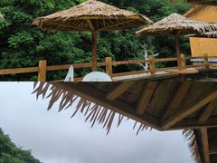 -本溪汤沟绿石谷森林公园