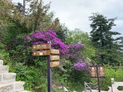 -尧山风景区