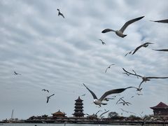 -八仙过海景区