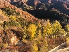 -云岫谷游猎自然风景区