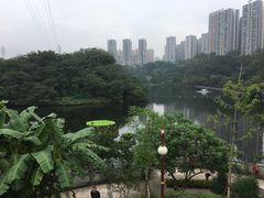 -重庆彩云湖湿地公园