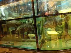 -金翠皇宫粤菜·点心·海鲜(科技园店)