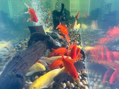 -中国海诚工程科技股份有限公司(宝庆路)