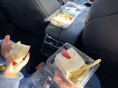 -格瑞思动物奶油生日蛋糕(园区永旺店)