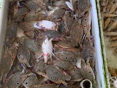 -南沙十九涌渔人码头-南门