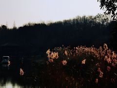 -同里国家湿地公园