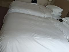 -上海如意智慧酒店(上海科学院店)