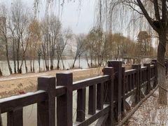 -水车博览园
