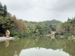 -云溪植物园