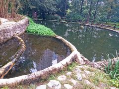-成都市活水公园