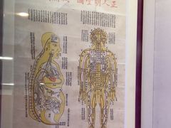 -广东中医药博物馆