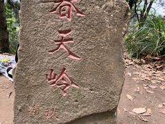 -南山植物园