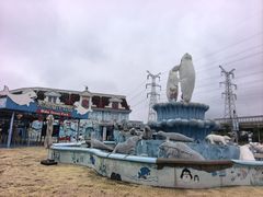 -芜湖新华联大白鲸海洋公园