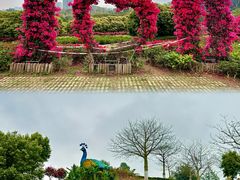 -东莞植物园