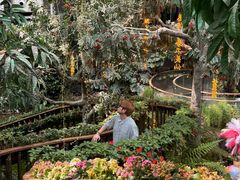 -正佳雨林生态植物园