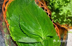 Lettuce Side Dish