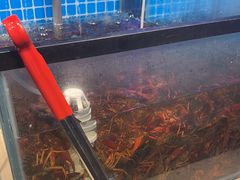 -海天盛宴潮汕蒸汽海鲜高端自助形象店