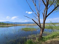 -野鸭湖国家湿地公园